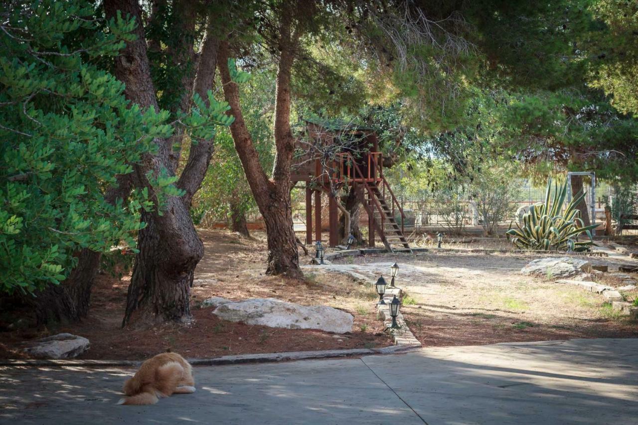 El Maset De Torredembarra Βίλα Εξωτερικό φωτογραφία